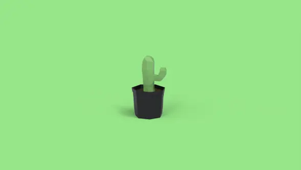 Succulents (cactus)